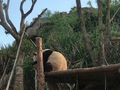 -宁波野生动物园