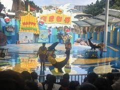 -海合安成都极地海洋公园
