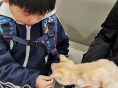 -宠欣安宠物医院·包河区中心医院