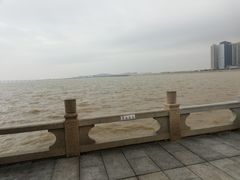 -观澳平台
