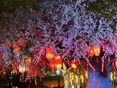 -厦门方特东方神画
