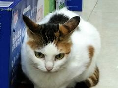 -水围村