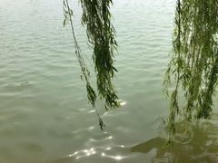 -朱仙镇启封故园景区