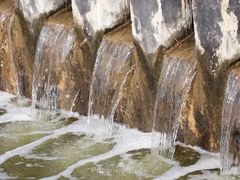 -鹦鹉洲湿地公园