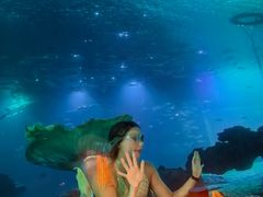 -海棠湾洲际-涛·海底餐厅·美人鱼·自助餐·海底隧道