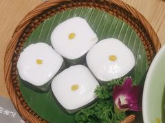 -mango tree芒果树(万象城店)
