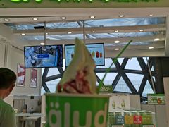 -Salud撒露欧洲冻酸奶(北苑上品店)