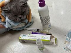 -宠颐生宠物医院·心肾内科·猫专科诊疗中心宠巢店