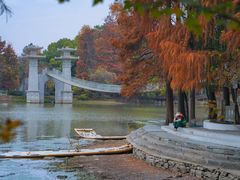 -东湖落雁景区