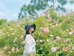 -三圣花乡旅游区