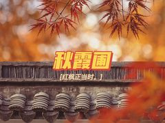 -秋霞圃