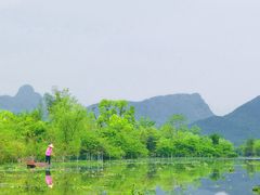 -会仙湿地
