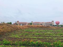 游乐设施-歌斐颂巧克力小镇