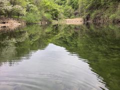 -三块石国家森林公园