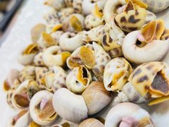 -驻海渔市(置信店)