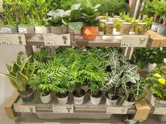 -鹿岛生活(熙地港店)
