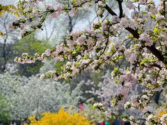 -元大都城垣遗址公园