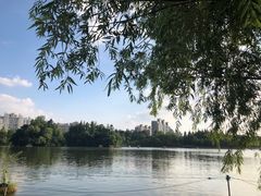 -大宁公园