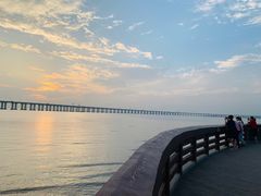 -宝安西湾红树林湿地公园