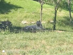 -北京野生动物园