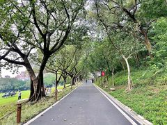-广州雕塑公园