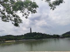 -顺峰山公园
