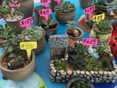 -广州花之恋城堡酒店