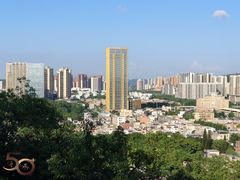 -紫马岭公园