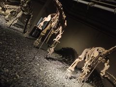 -世界恐龙谷景区