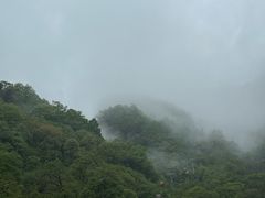 -牛背梁国家森林公园