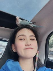 -菜百首饰(世纪金源购物中心店)