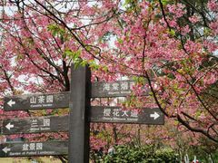 -南山植物园
