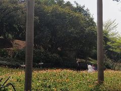 -云溪植物园
