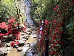 -大平台龙居瀑布旅游区