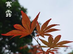-广州市帽峰山景区
