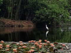 -茅家埠