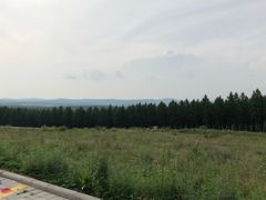 -塞罕坝国家级自然保护区