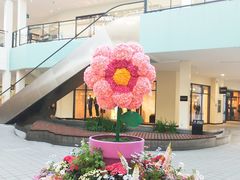 -宁波杉井奥特莱斯广场