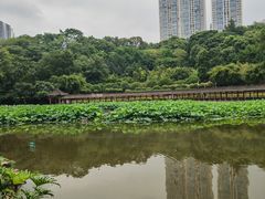 -龙头寺公园