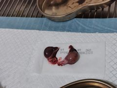 -灵美宠物诊所