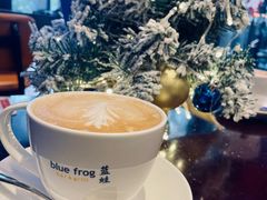 -blue frog蓝蛙(长泰广场店)