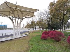 -映月湖中央公园