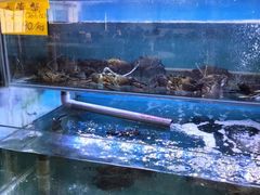-钱塘府海鲜餐厅