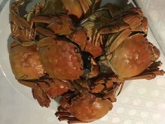 -大同王府至尊酒店