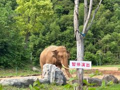-宁波野生动物园
