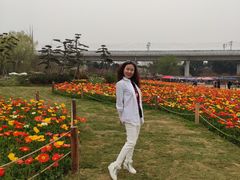 -秀丽东方