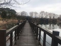 -苏州太湖国家湿地公园