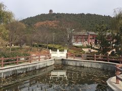 -浮来山风景区