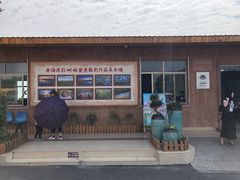 -北海金海湾红树林生态旅游区