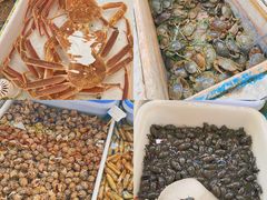 -南沙十九涌渔人码头-南门